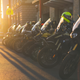 Image for article titled Ferries, Bears And Adventure Bikes In British Columbia